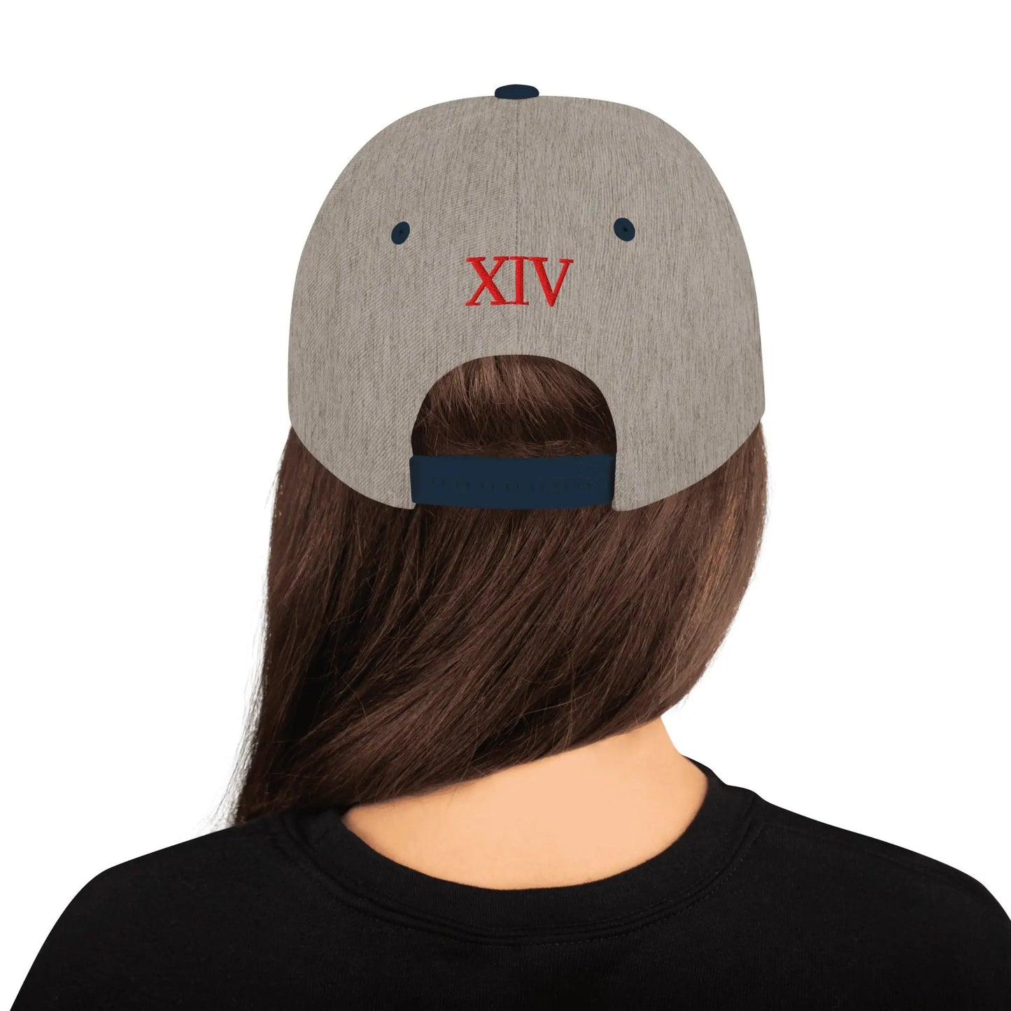 Emonds Line Snapback Grey Navy — back view