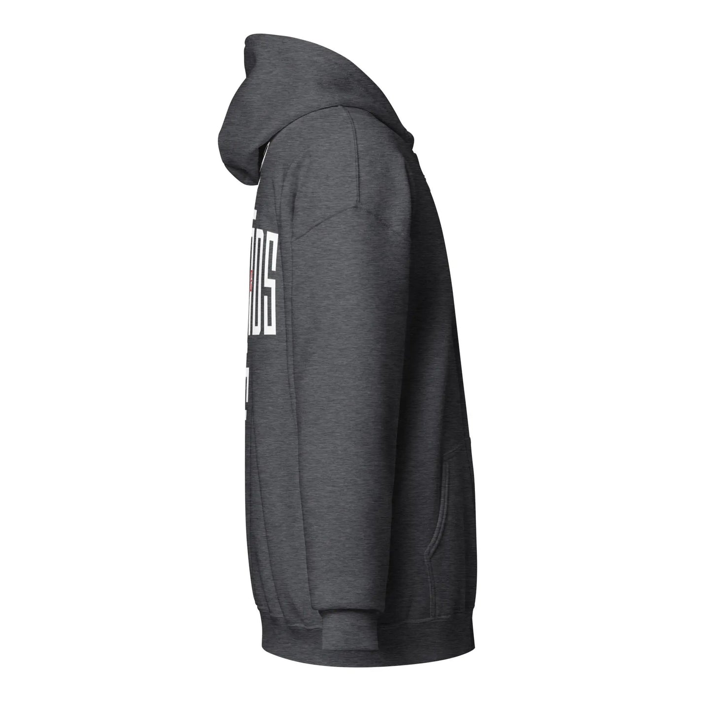 Emonds Line Heavy Blend Zip Hoodie — detail view
